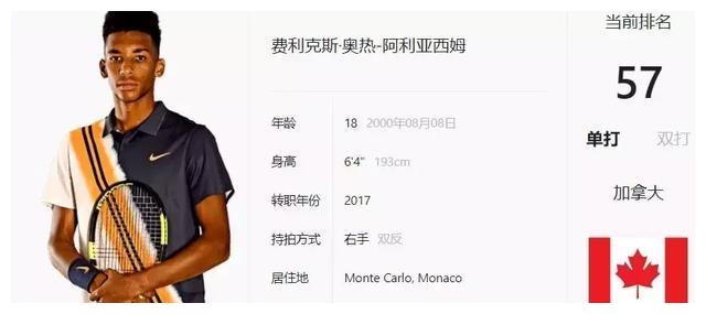 中的可见度 中的可见度